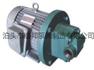 RYB電動(dòng)內(nèi)嚙合齒輪泵-RYB內(nèi)嚙合齒輪泵-內(nèi)嚙合齒輪泵